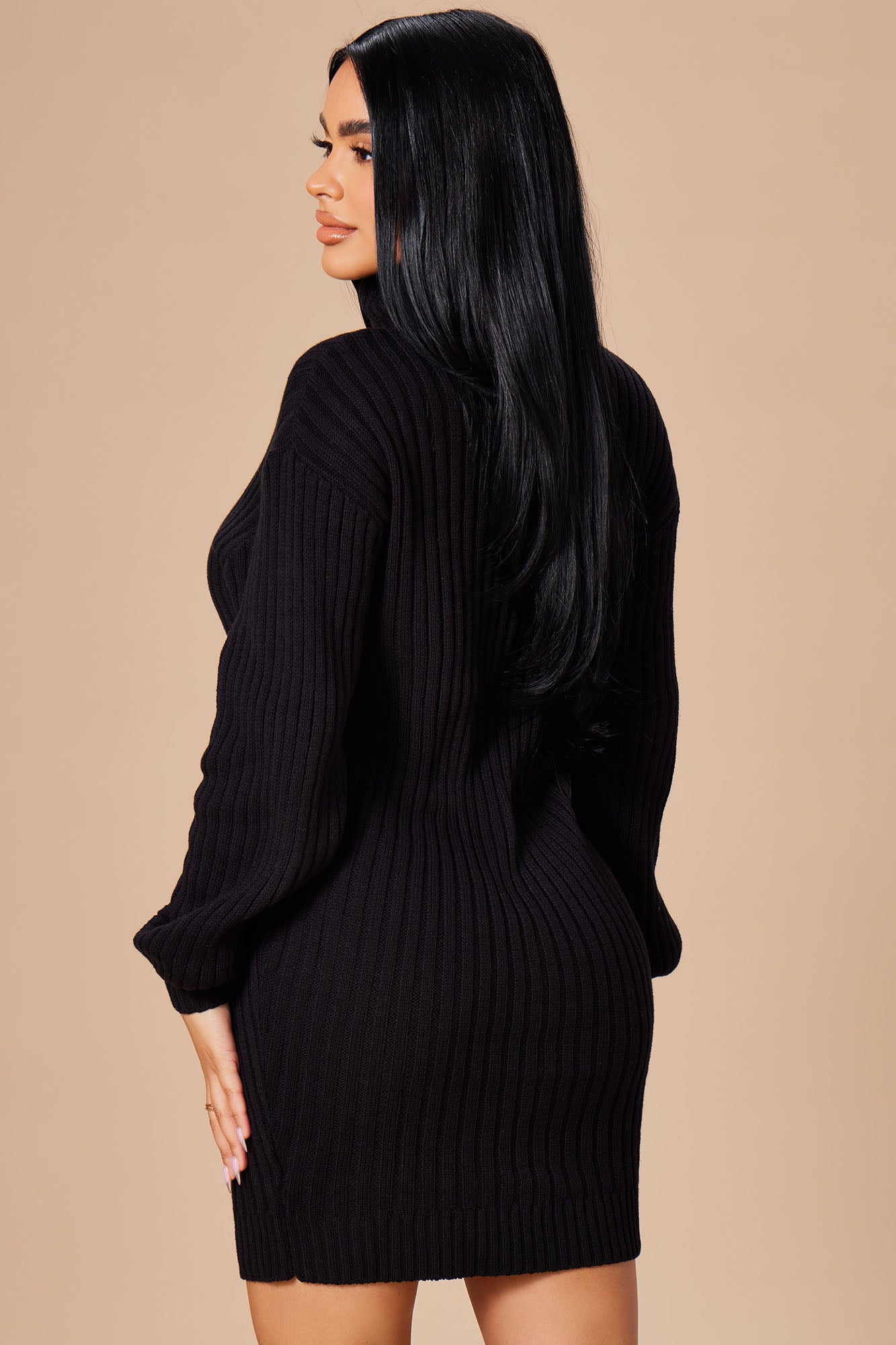 Emily | Rollkragenpullover-Kleid